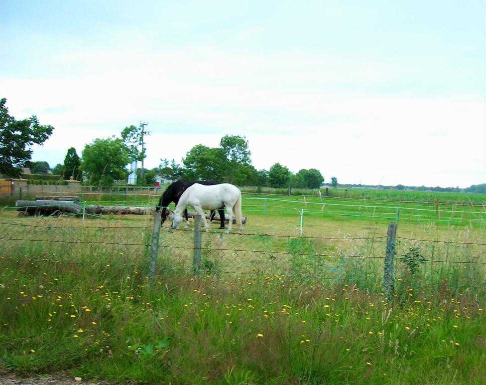 Riverview Country Park Hotell Forres Exteriör bild